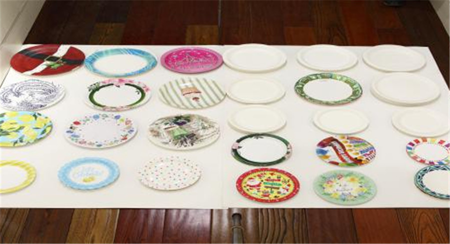 ML600Y-GP Hydraulic Paper Plate Making Machine (7)