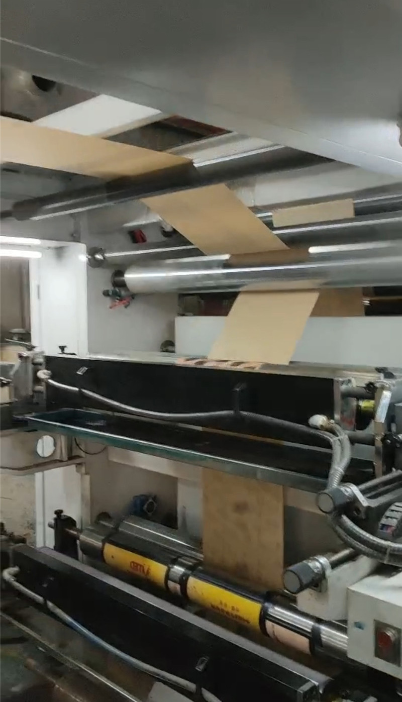 Flexo vertical press (2)