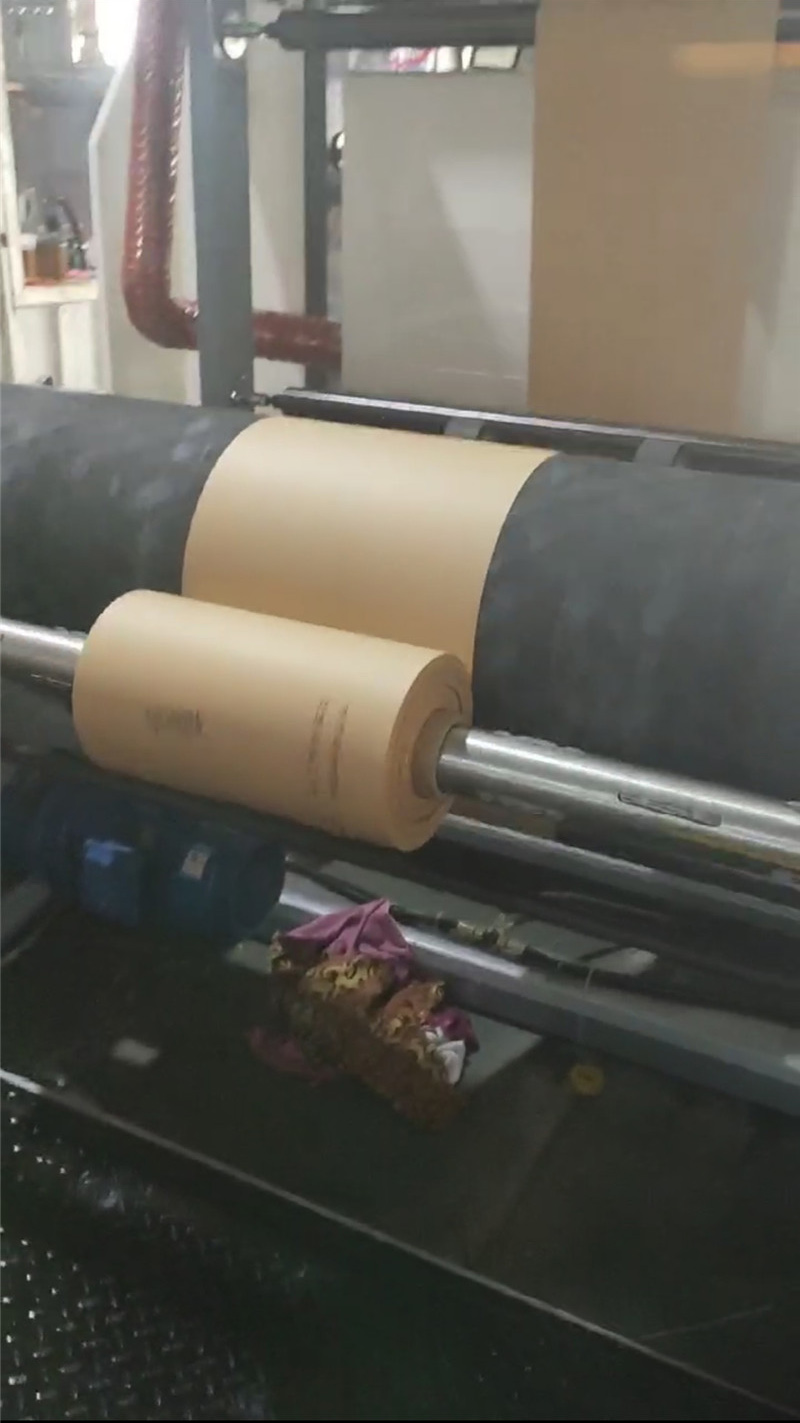 Flexo vertical press (4)